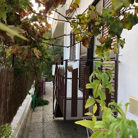 Del Gelso Nella Valle