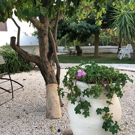 Διαμέρισμα Il Gelso Nella Valle Αγκριτζέντο