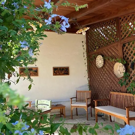 Del Gelso Nella Valle