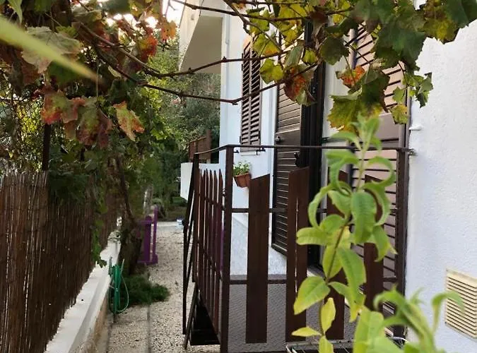 Il Gelso Nella Valle